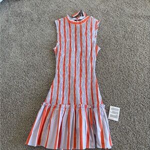 Striped Orange and Purple Dress